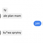 Rząd wprowadził zakaz przemieszczania w Sylwestra w niezgodzie z konstytucją